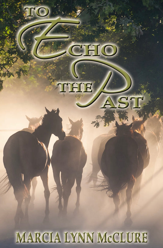 To Echo the Past Soft Cover