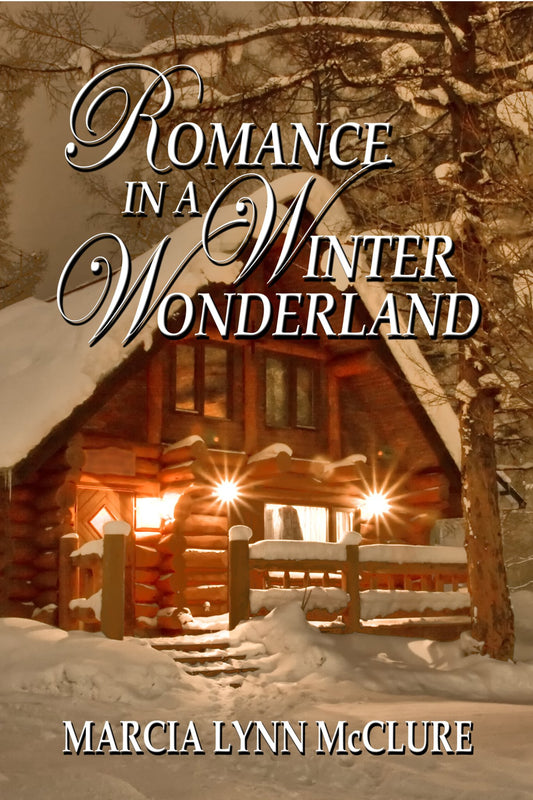 Romance in a Winter Wonderland Hard Cover